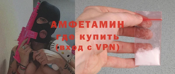 шишки Корсаков