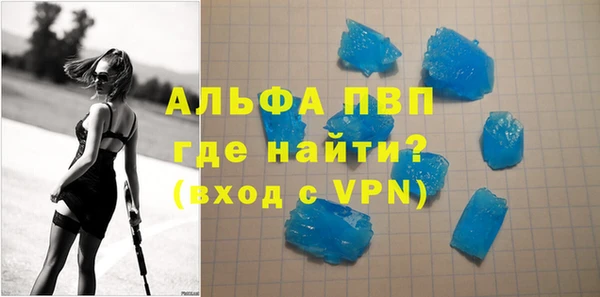 шишки Корсаков