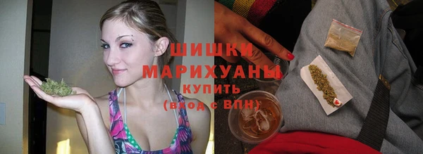 шишки Корсаков
