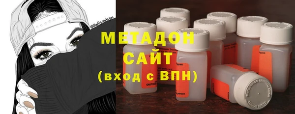 шишки Корсаков