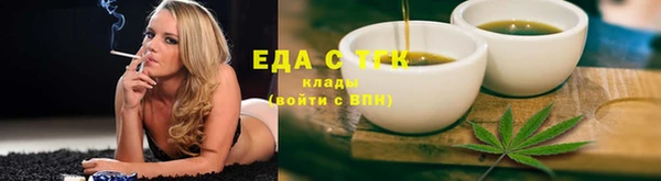 шишки Корсаков