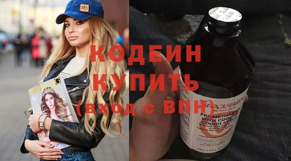 шишки Корсаков