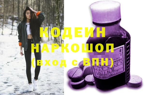 шишки Корсаков