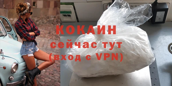 шишки Корсаков
