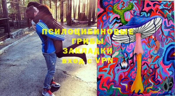 PSILOCYBIN Костерёво