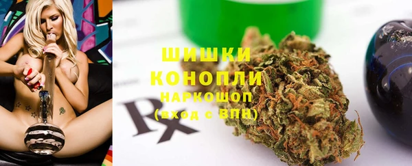 PSILOCYBIN Костерёво